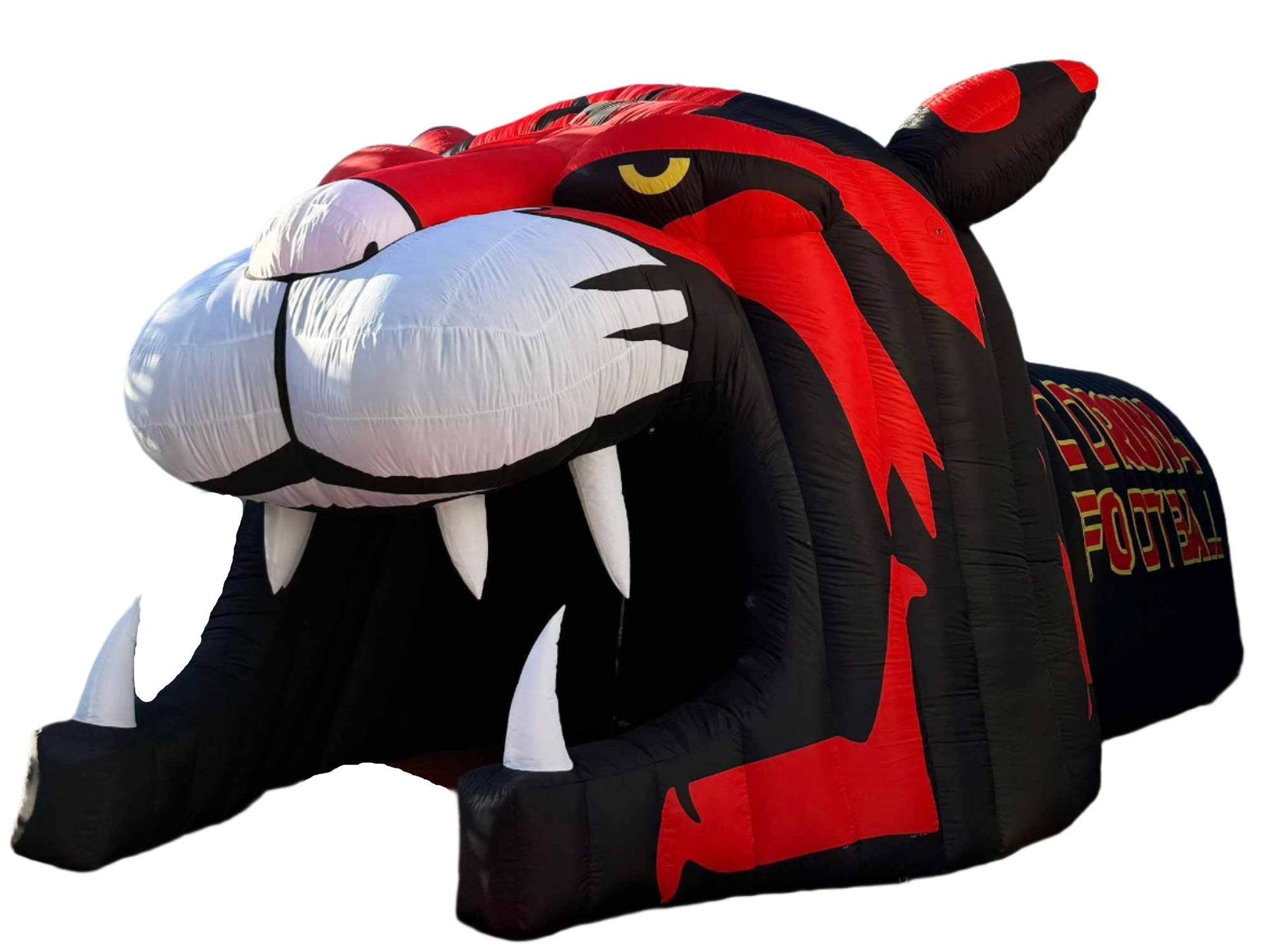 Inflatable Cougar Mascot Head Tunnel