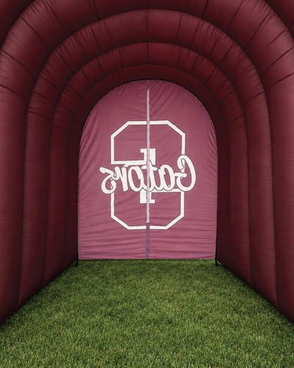 large inflatable gator tunnel inside