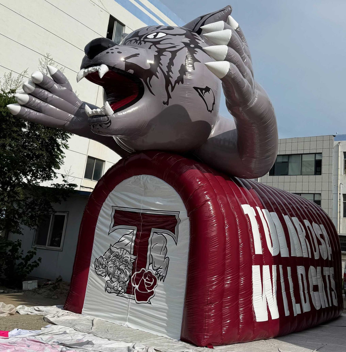 Inflatable Wildcat Mascot Tunnel