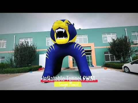 Inflatable Cougar Tunnel Video